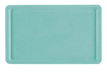 Kunststoff-Tablett 450 x 320 mm