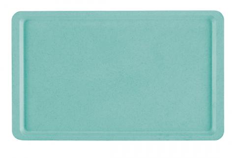 Kunststoff-Tablett 450 x 320 mm Kunststoff-Tablett 450 x 320 mm